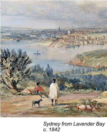 Sydney from Lavender Bay c. 1842
